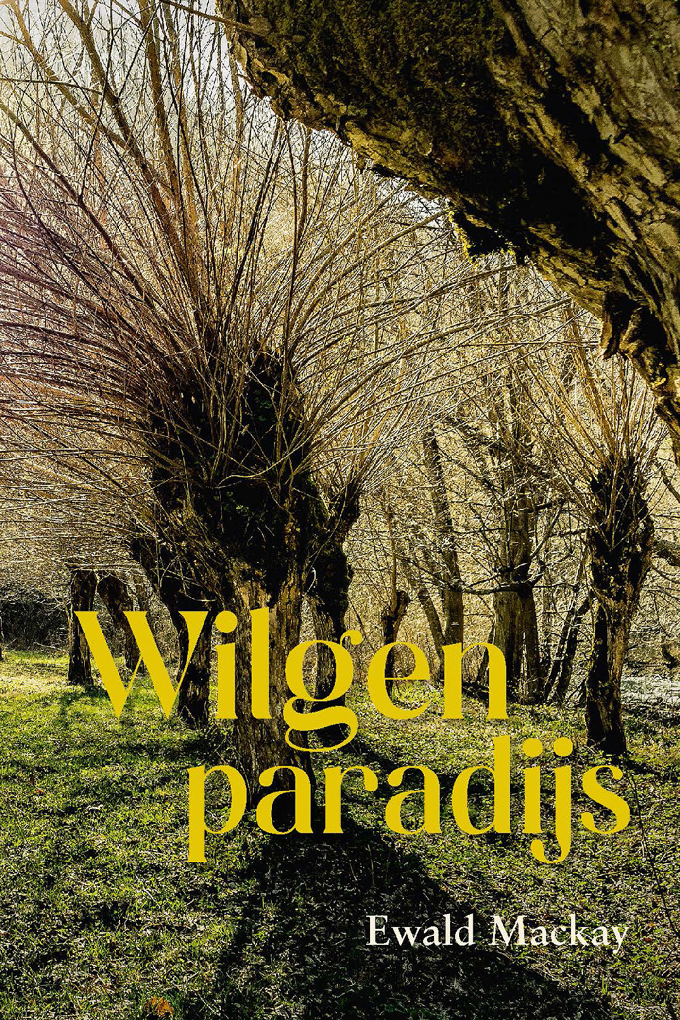 Omslag van Wilgenparadijs