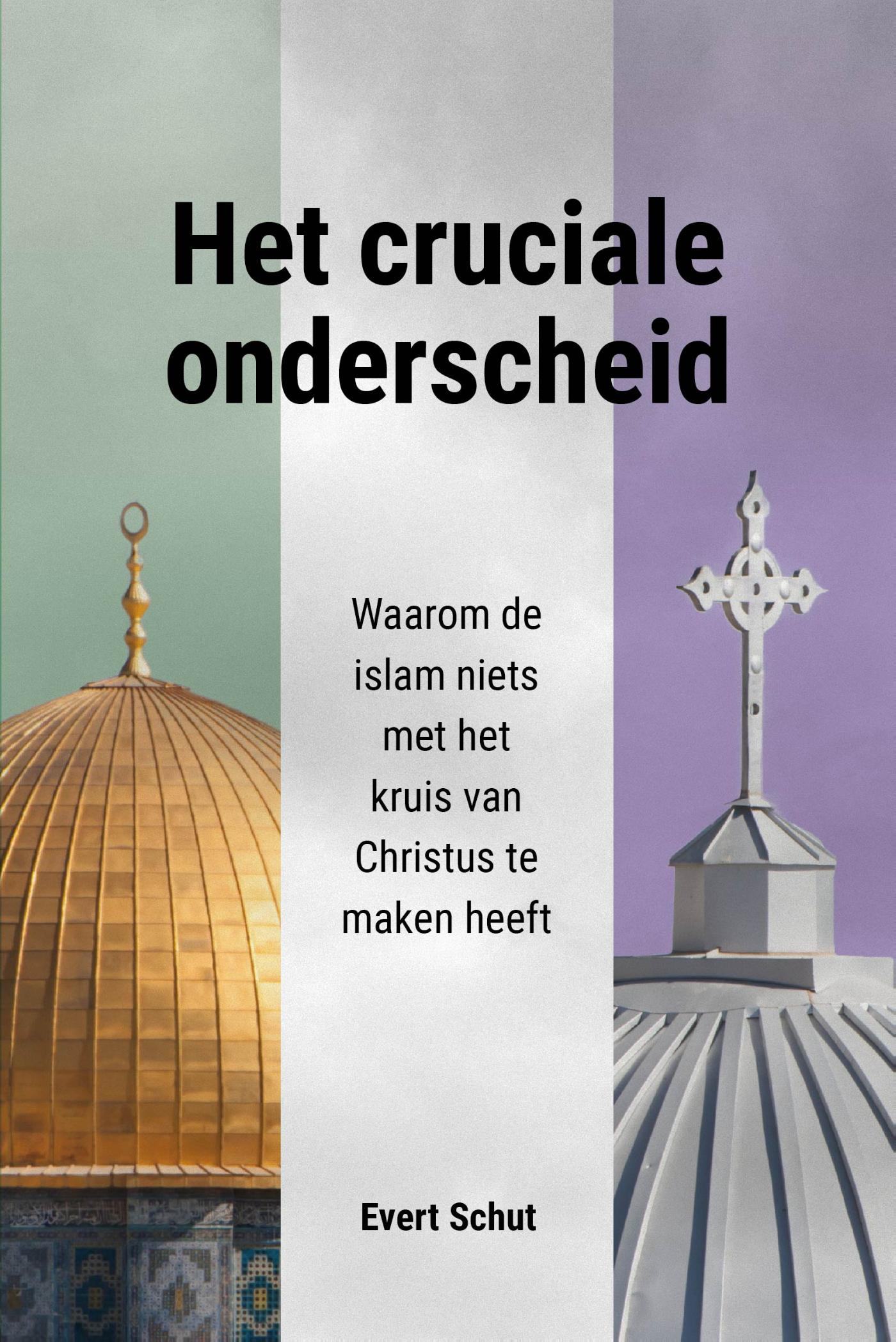 Omslag van Het cruciale onderscheid