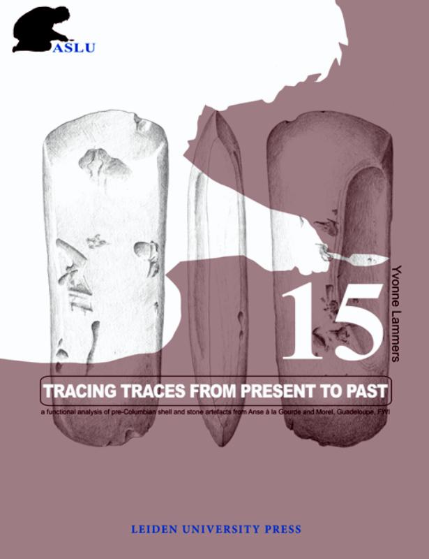 Omslag van Tracing traces from present to past