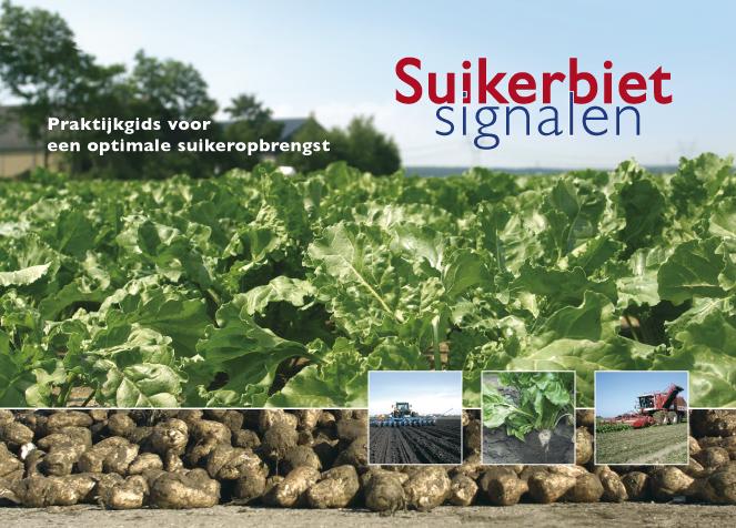 Omslag van Suikerbietsignalen