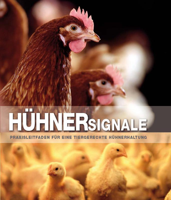 Omslag van Hühnersignale
