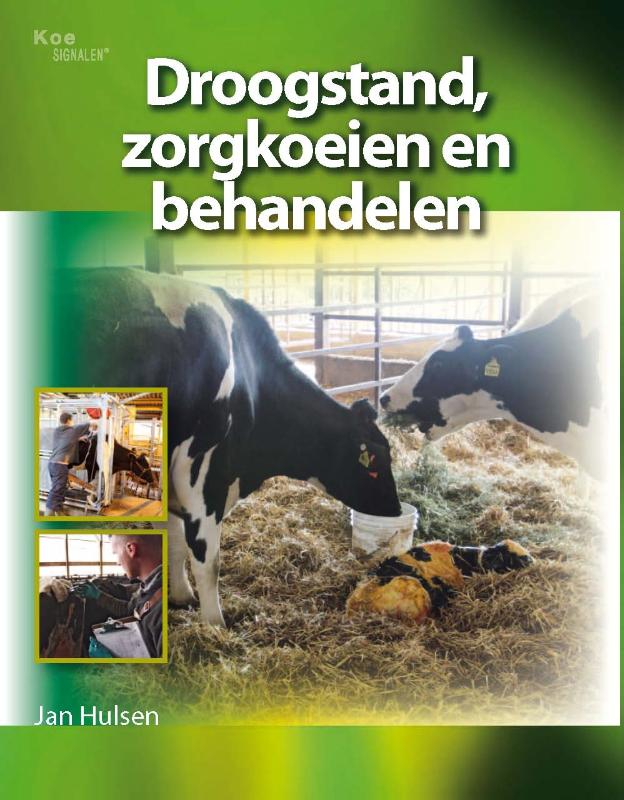 Omslag van Droogstand, zorgkoeien en behandelen
