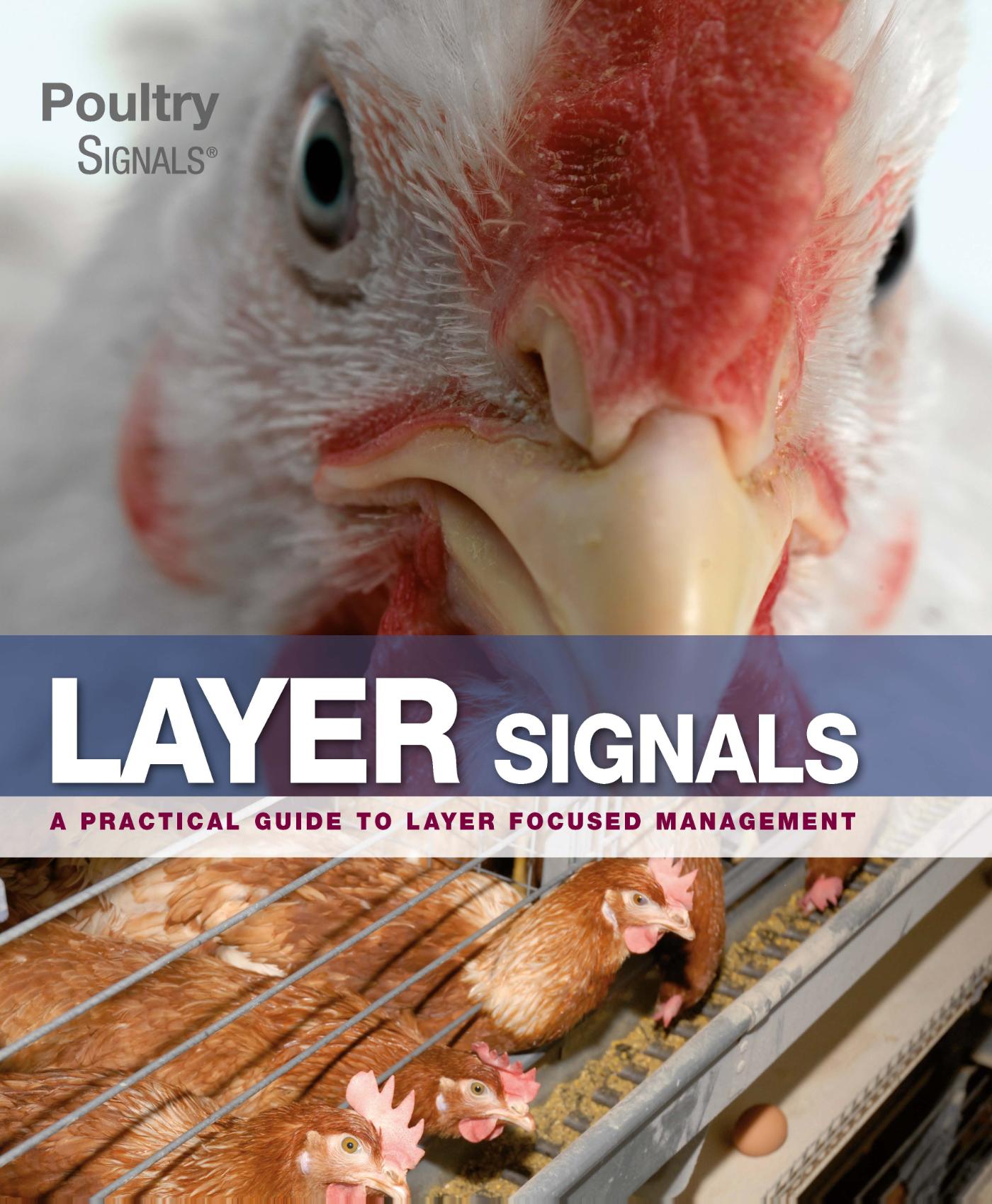 Omslag van Layer Signals
