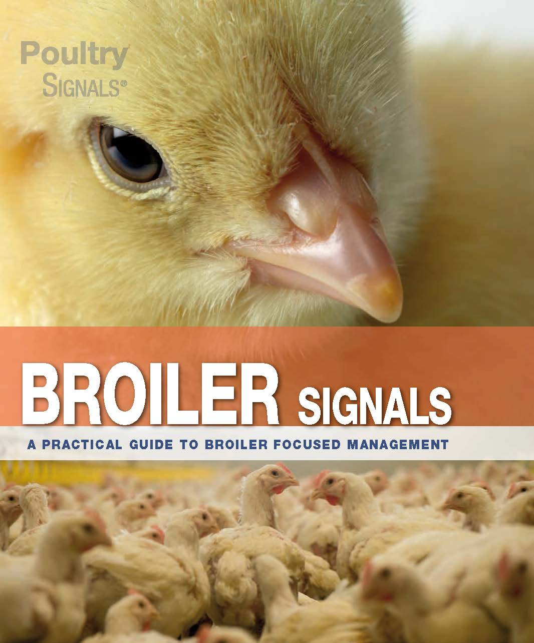 Omslag van Broiler signals
