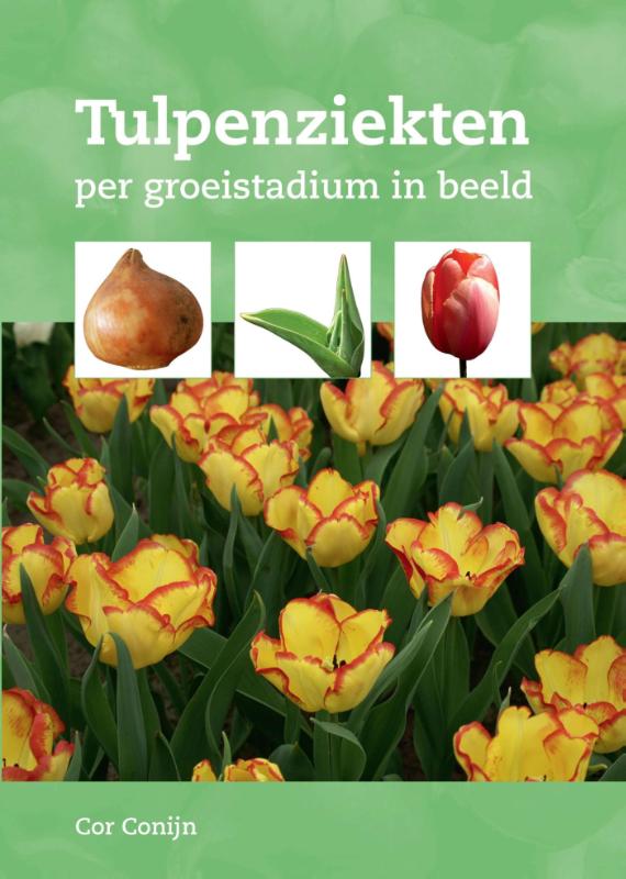 Omslag van Tulpenziekten