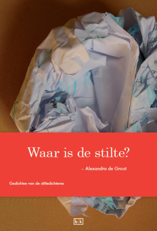 Omslag van Waar is de stilte?