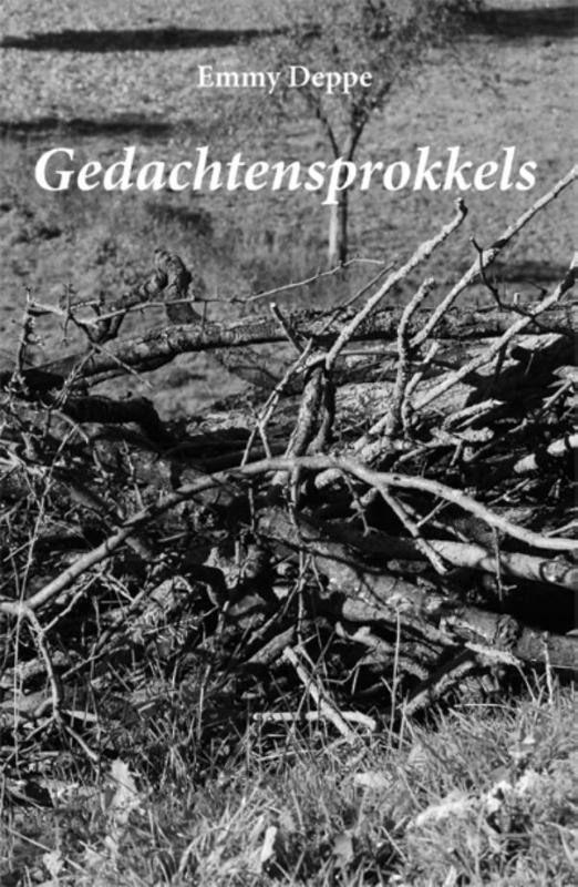 Omslag van Gedachtensprokkels