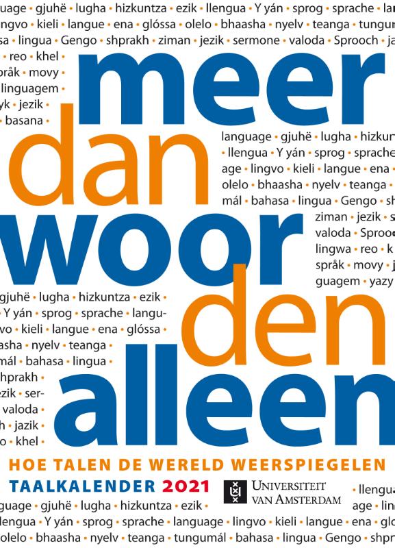 Omslag van Meer dan woorden alleen