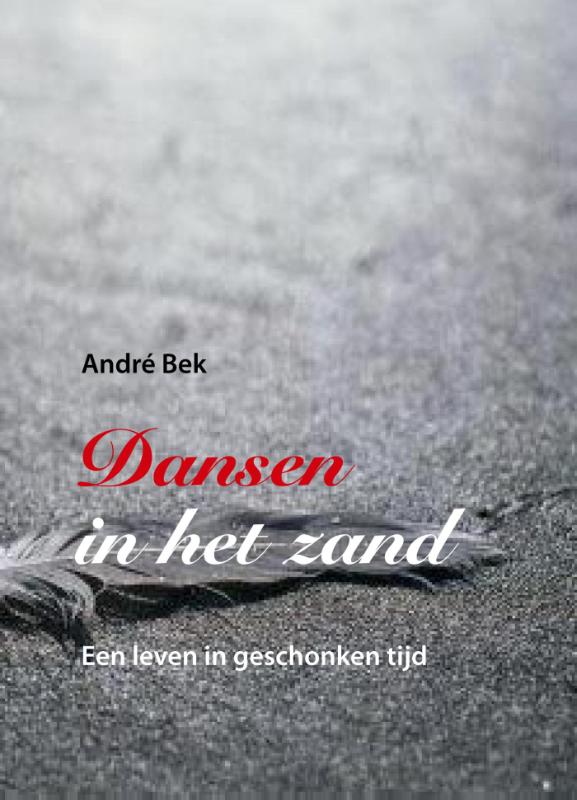 Omslag van Dansen in het zand