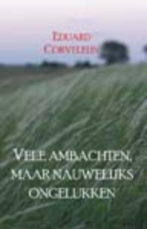Omslag van Vele ambachten, maar weinig ongelukken