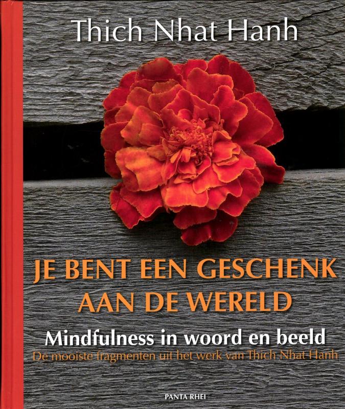Omslag van Je bent een geschenk aan de wereld