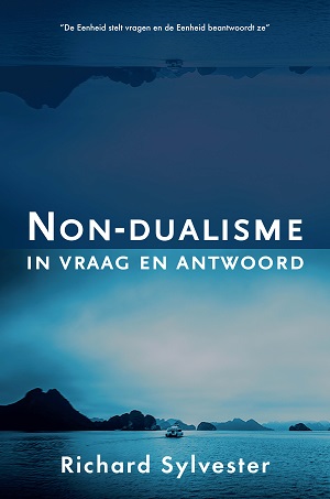 Omslag van Non-dualisme in vraag en antwoord