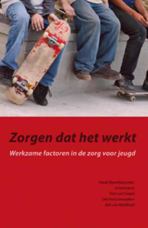 Omslag van Zorgen dat het werkt