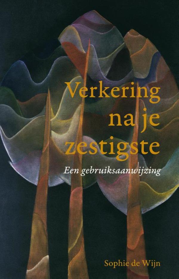 Omslag van Verkering na je zestigste