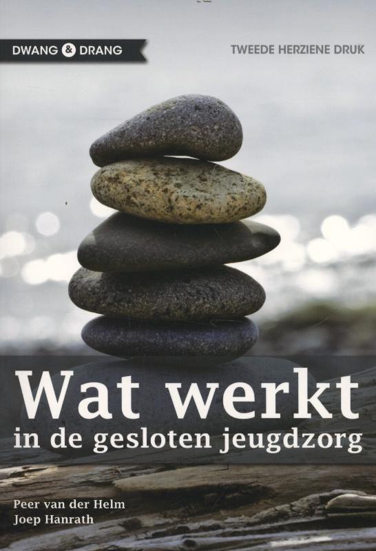 Omslag van Wat werkt