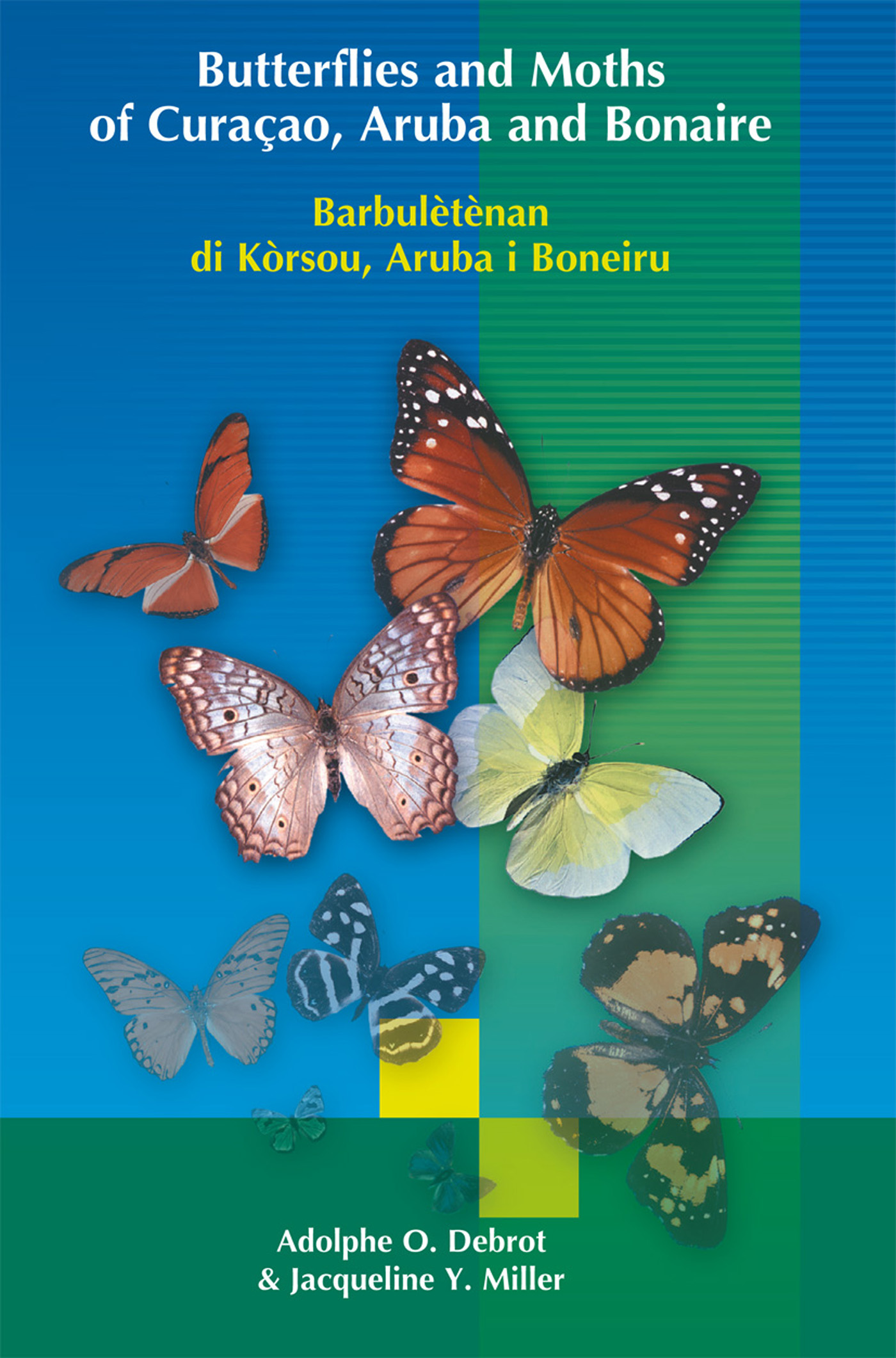Omslag van Butterflies and Moths of Curacao, Aruba and Bonaire