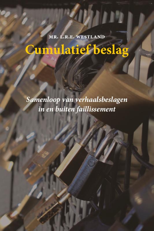 Omslag van Cumulatief beslag