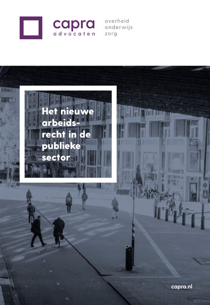 Omslag van Het nieuwe arbeidsrecht in de publieke sector