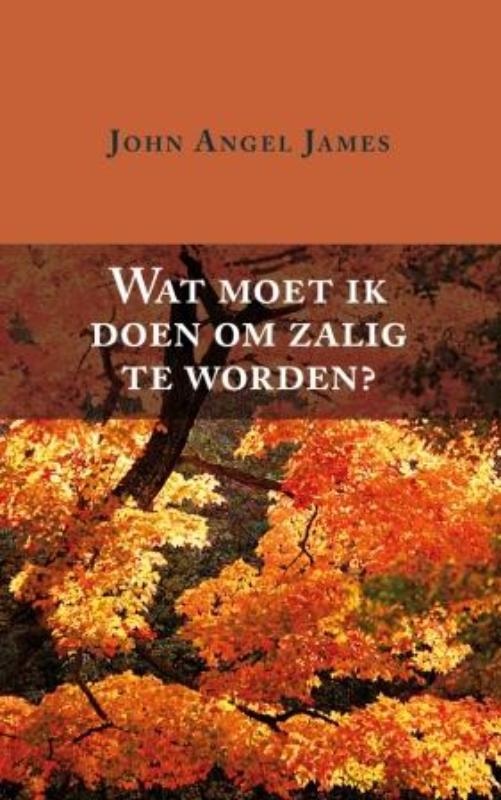 Omslag van Wat moet ik doen om zalig te worden?