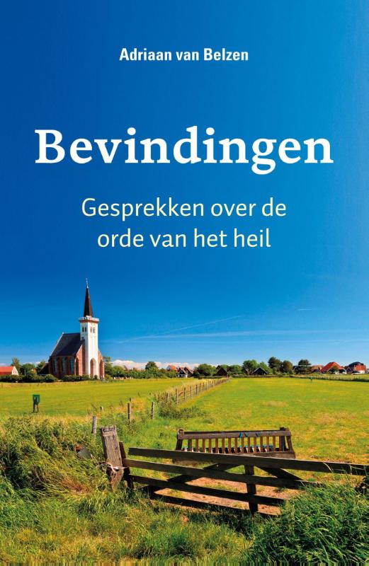Omslag van Bevindingen