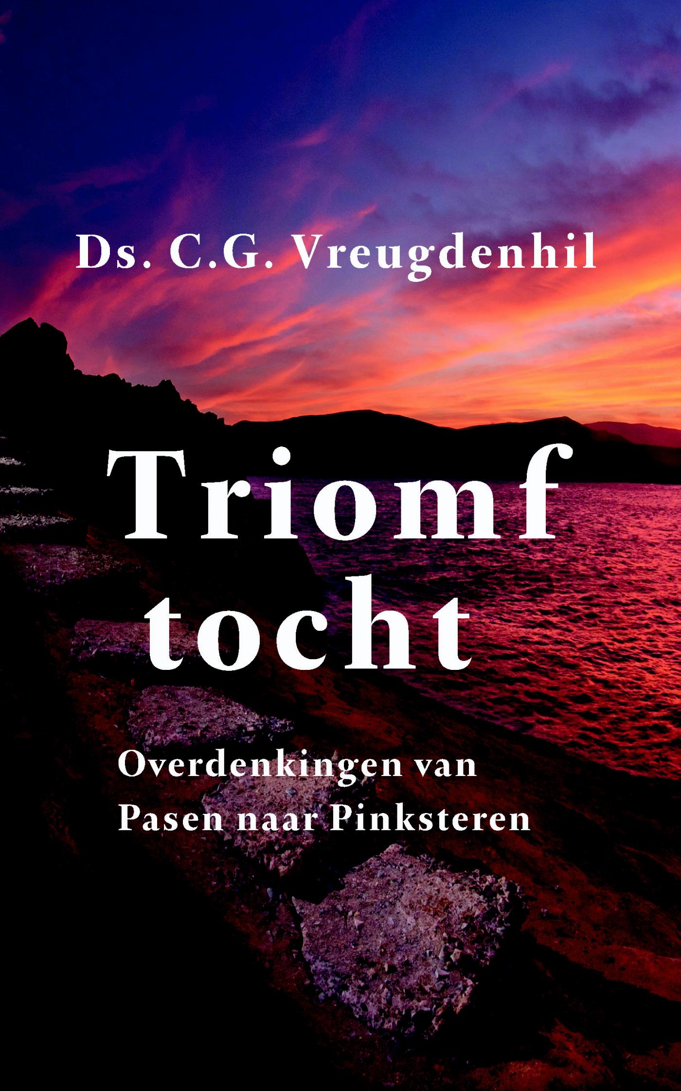 Omslag van Triomftocht