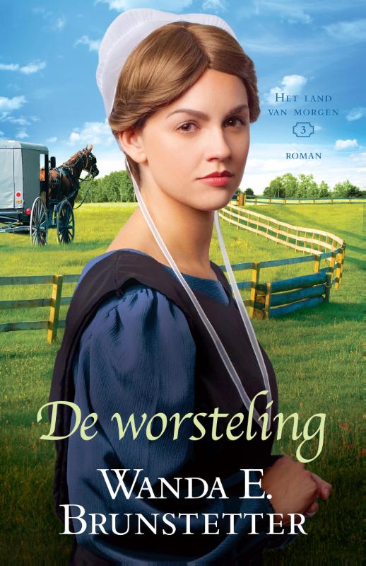 Omslag van De worsteling