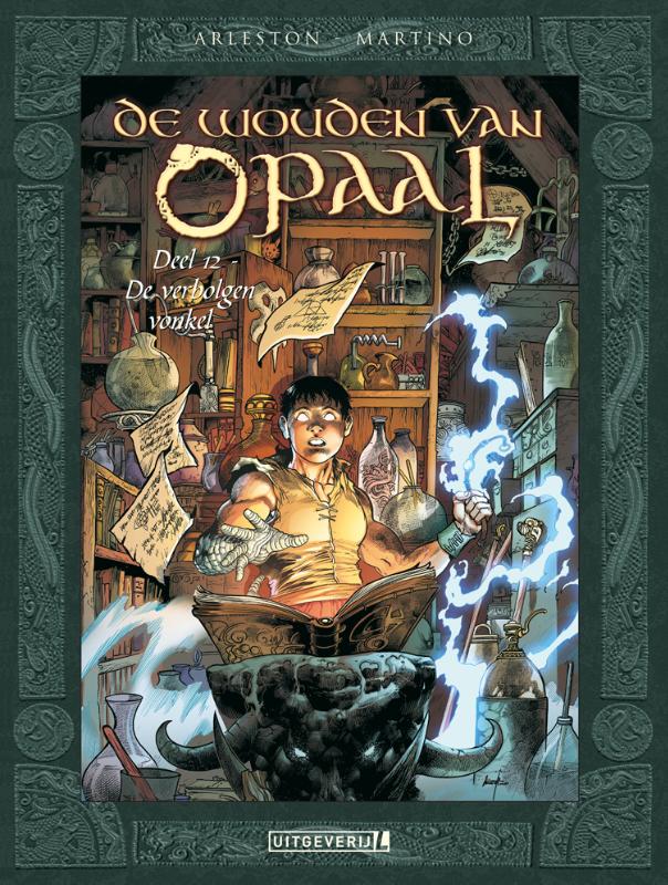 Omslag van De verborgen vonkel