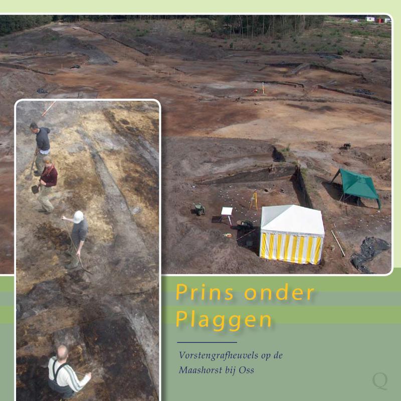 Omslag van Prins onder plaggen