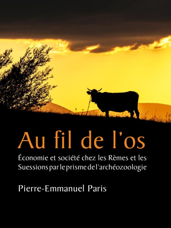 Omslag van Au fil de l’os