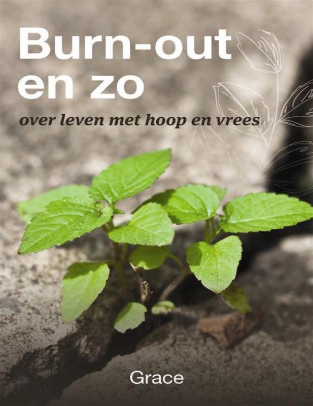 Omslag van Burn out en zo