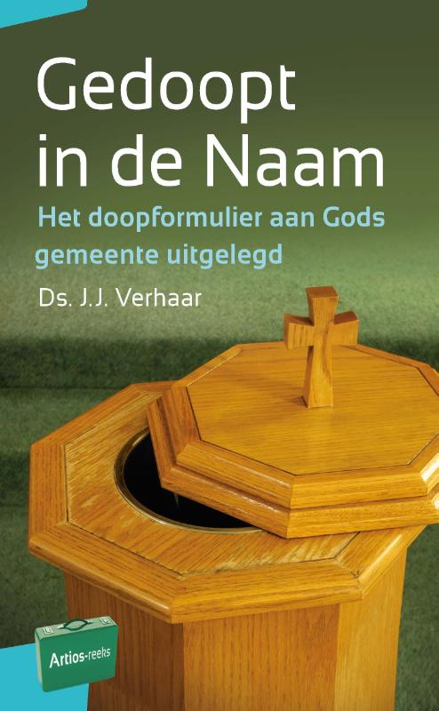 Omslag van Gedoopt in de Naam