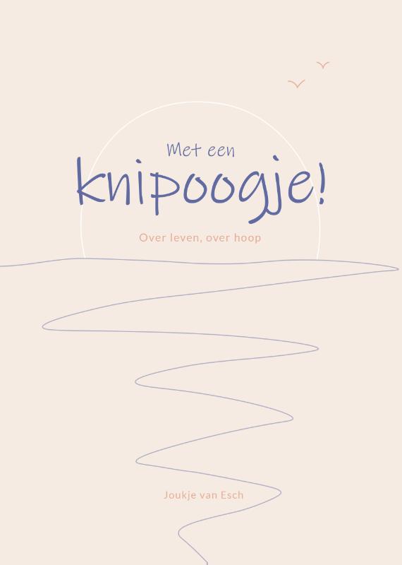 Omslag van Met een knipoogje!