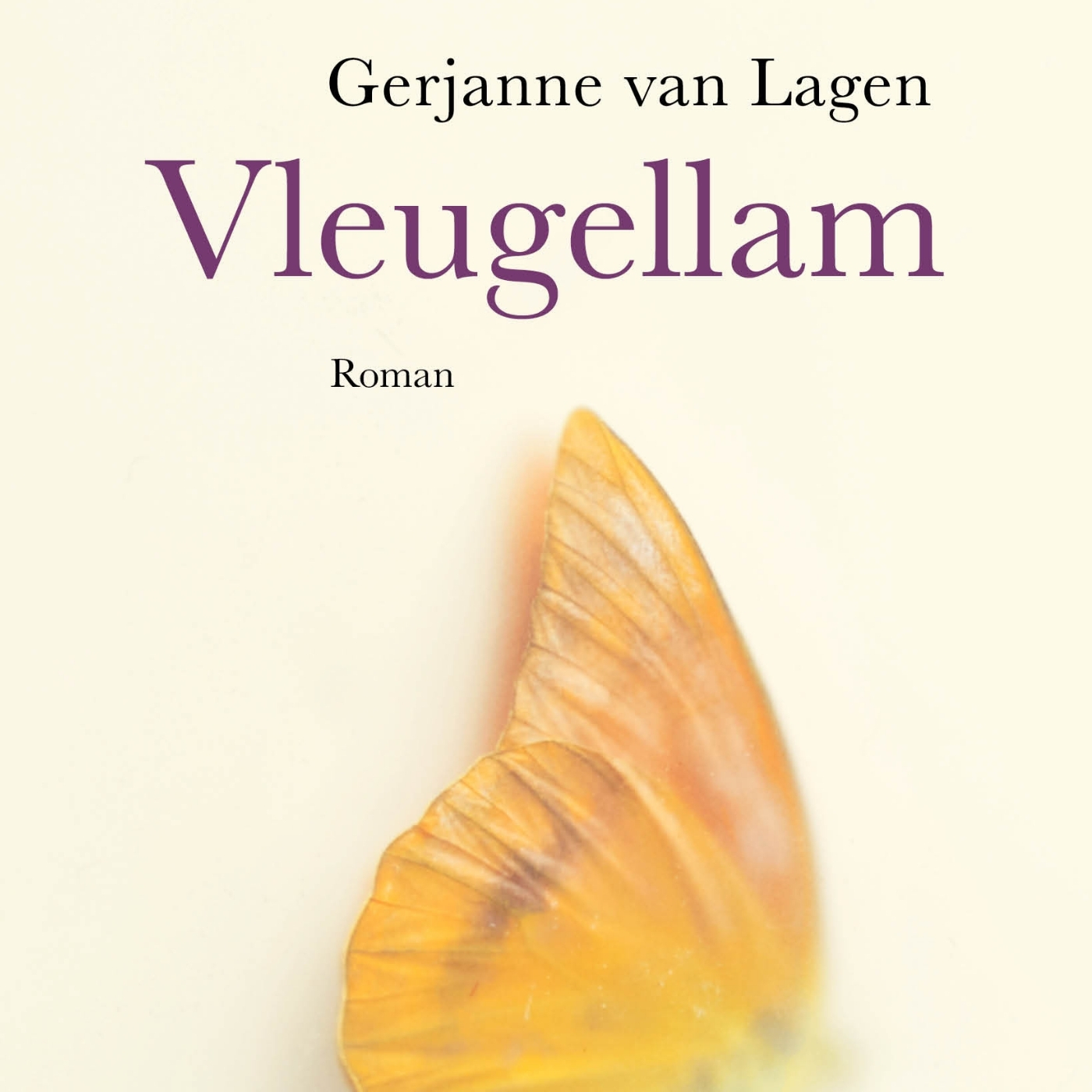 Omslag van Vleugellam