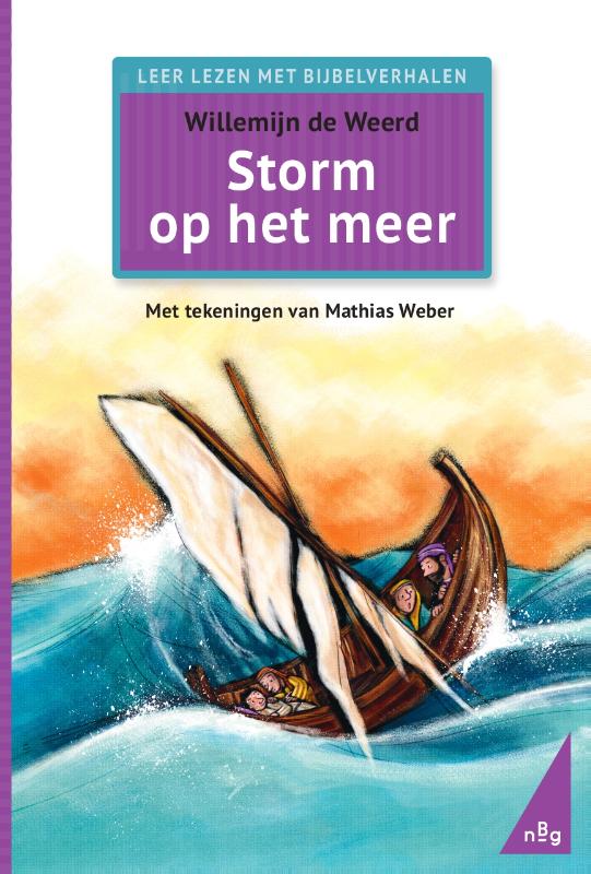 Omslag van Storm op het meer
