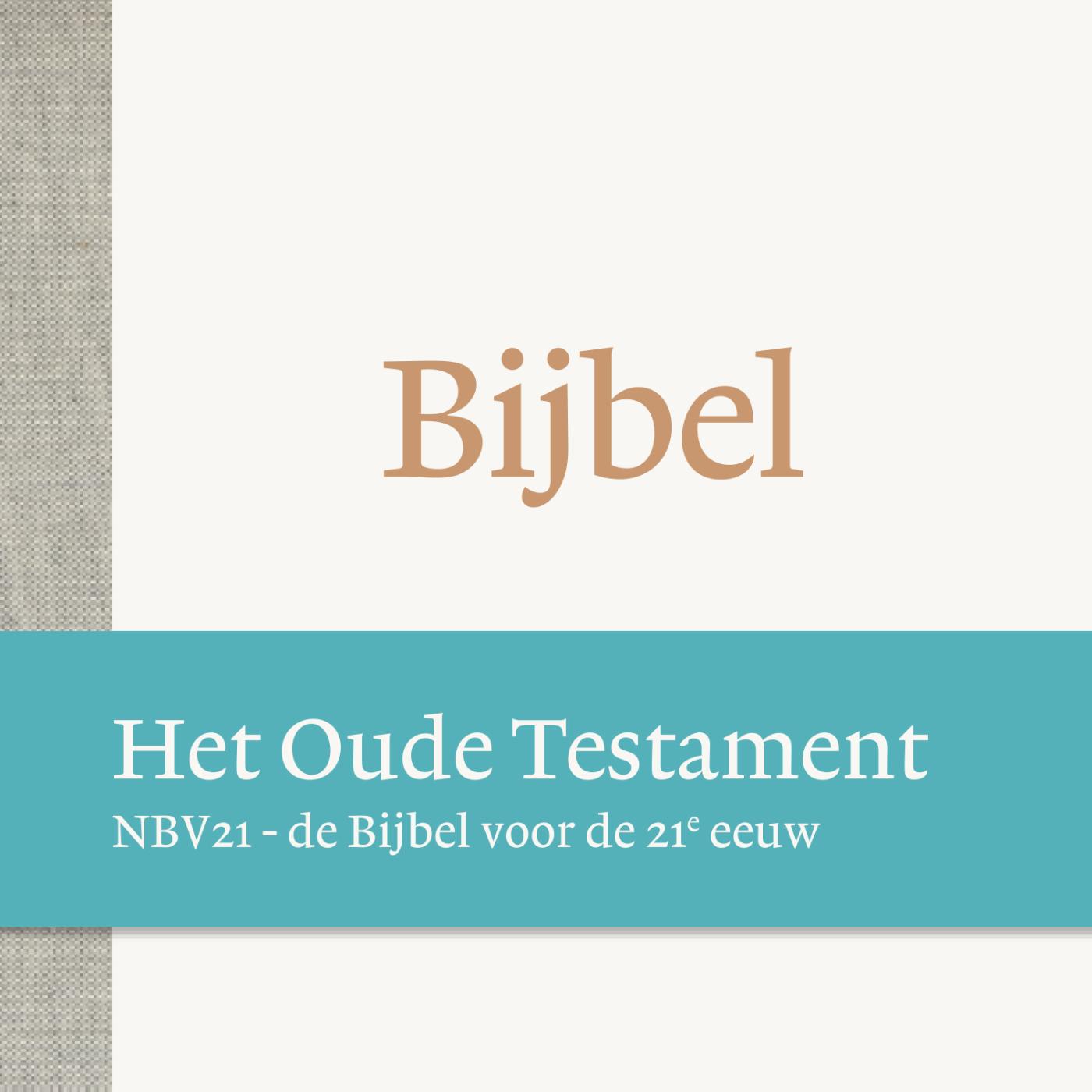 Omslag van Deel 1 NBV21