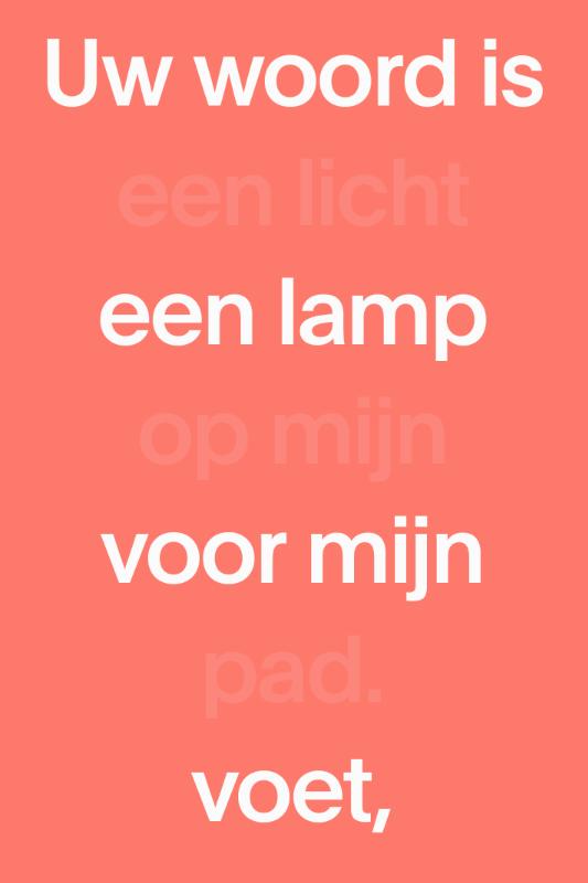 Omslag van NBV21 Midsize Paperback