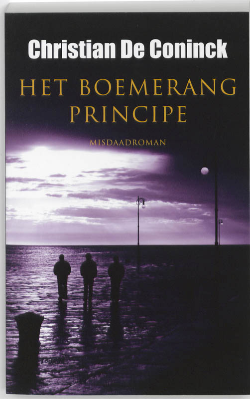 Omslag van Het boemerangprincipe