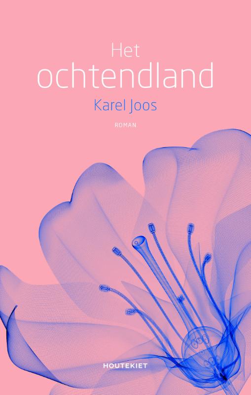 Omslag van Het ochtendland