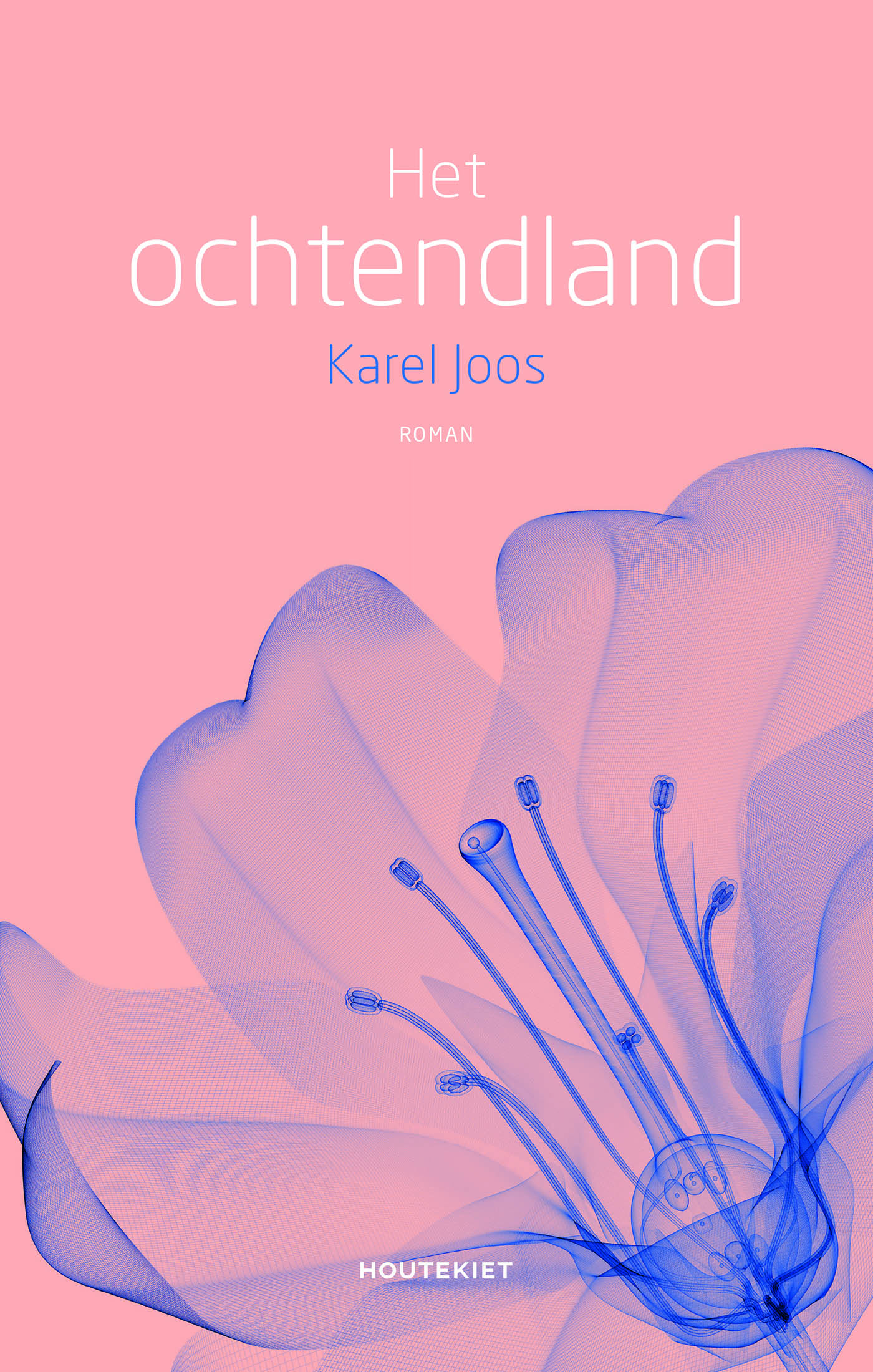 Omslag van Het ochtendland