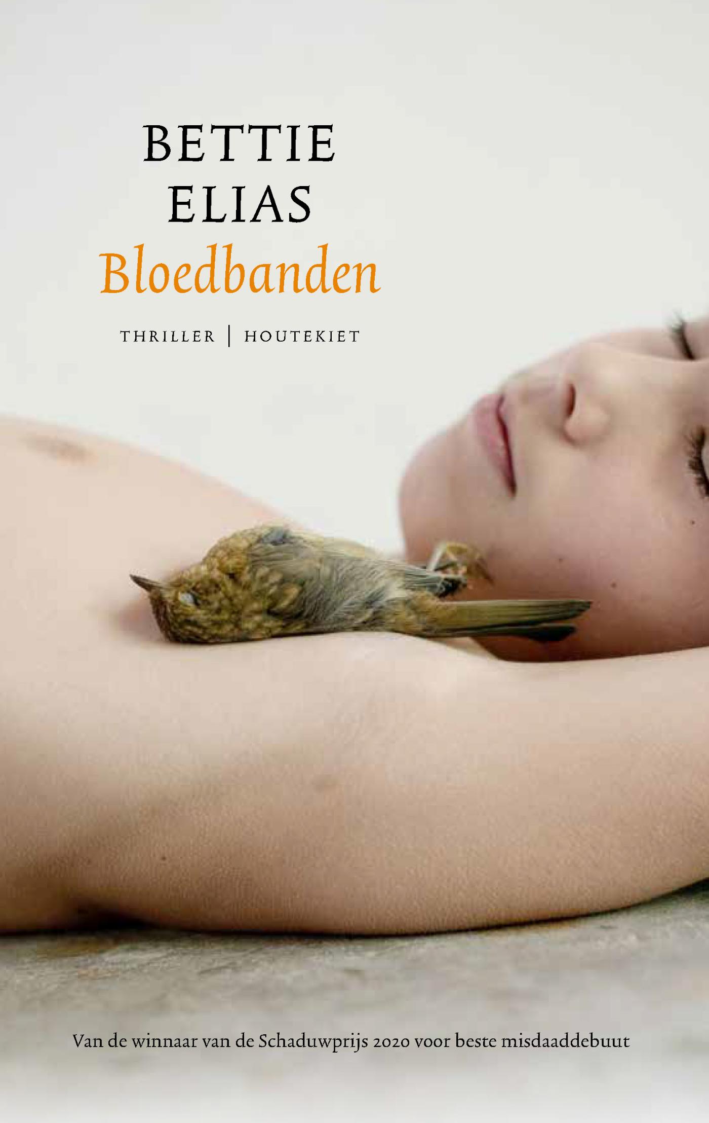 Omslag van Bloedbanden