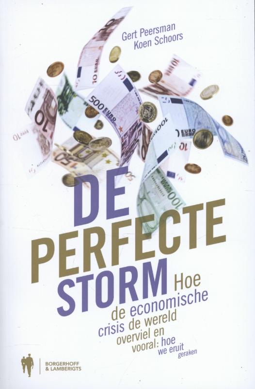 Omslag van De perfecte storm