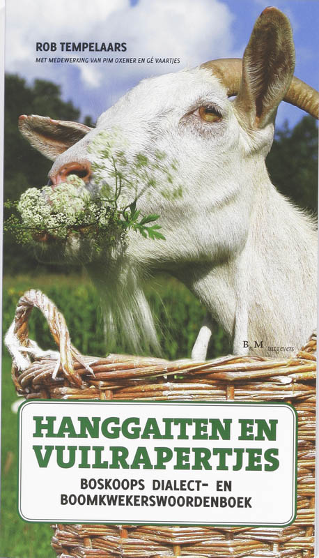 Omslag van Hanggaiten en vuilrapertjes
