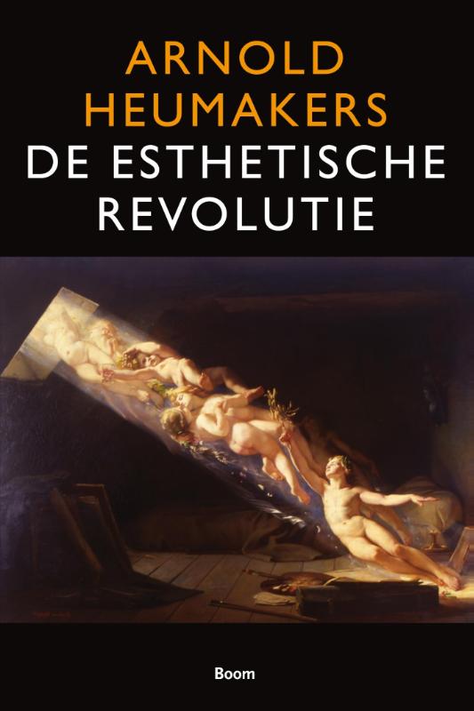 Omslag van De esthetische revolutie