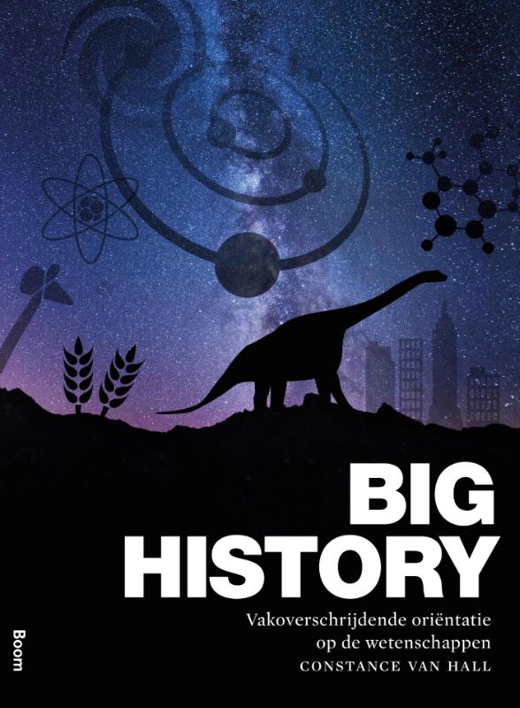 Omslag van Big history