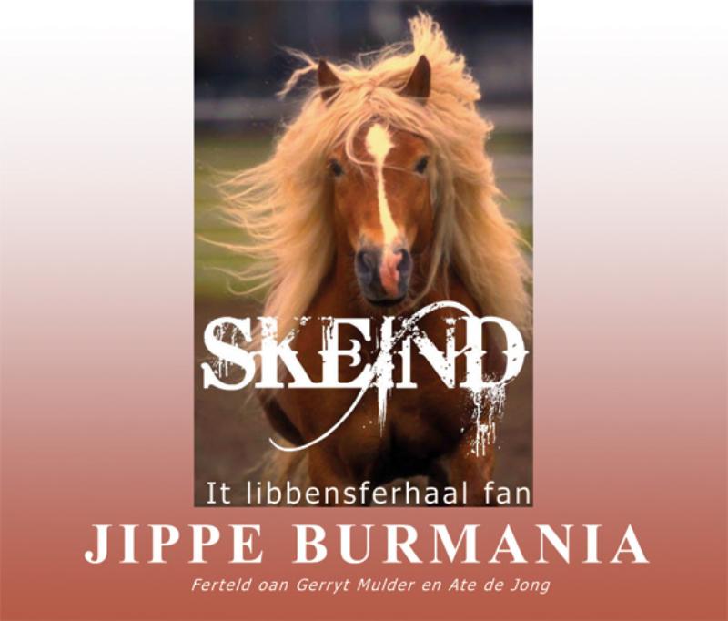 Omslag van Skeind