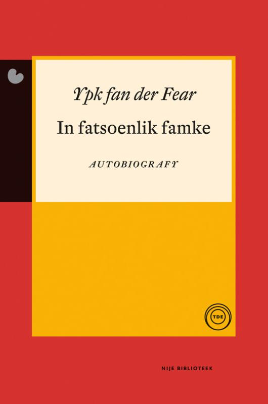 Omslag van In fatsoenlik famke