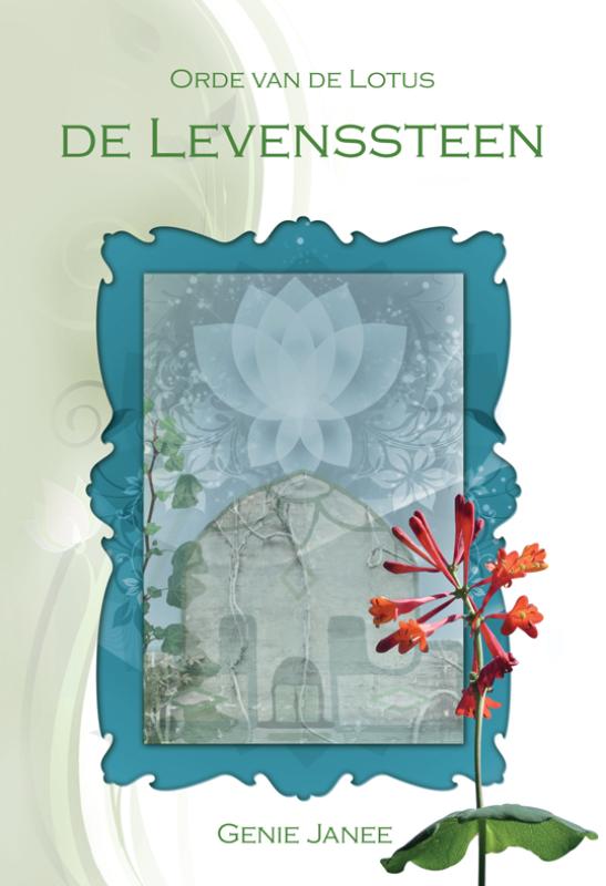 Omslag van De levenssteen