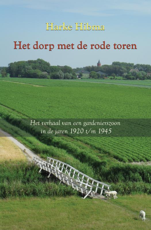 Omslag van Het dorp met de rode toren