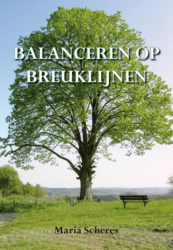 Omslag van Balanceren op breuklijnen