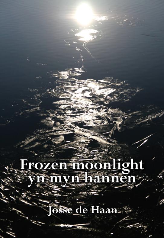 Omslag van Frozen moonlight yn myn hannen